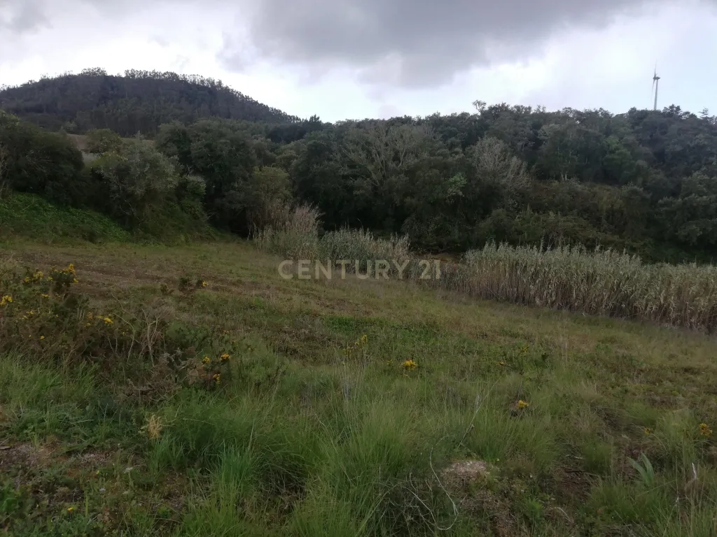 Terreno Agrícola na Zona Oeste - Image 8